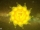 1590323567_maxresdefault.jpg